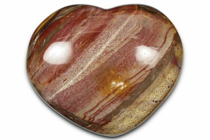 Polished Triassic Petrified Wood Heart - Madagascar #355625